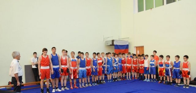 Открытый турнир города Сочи по боксу, посвященный 70-й годовщине Победы в ВОВ 2015