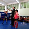Открытое Первенство Краснодарского края по тайскому боксу 2016