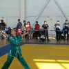 Первенство и Чемпионат Краснодарского края по кикбоксингу 2017