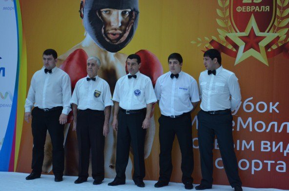 Кубок «МореМолл» по боевым видам спорта 2013
